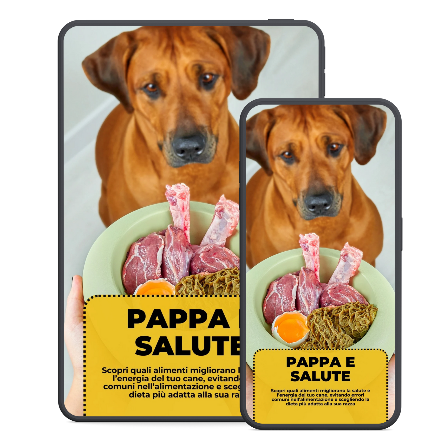 Qua la Zampa!